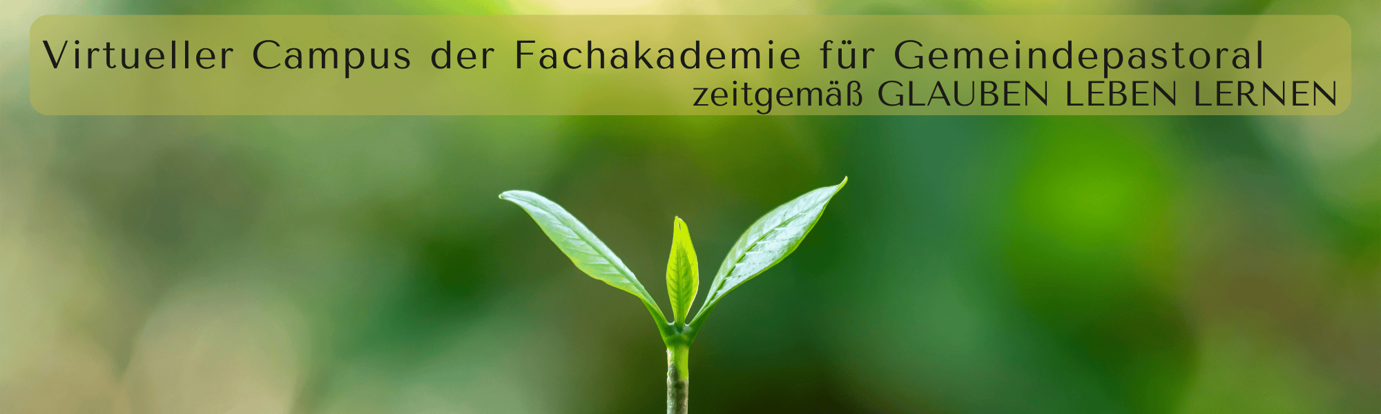 Junger grüner Pflanzentrieb vor unscharfem Hintergrund, Text: „Virtueller Campus – Glauben Leben Lernen“.