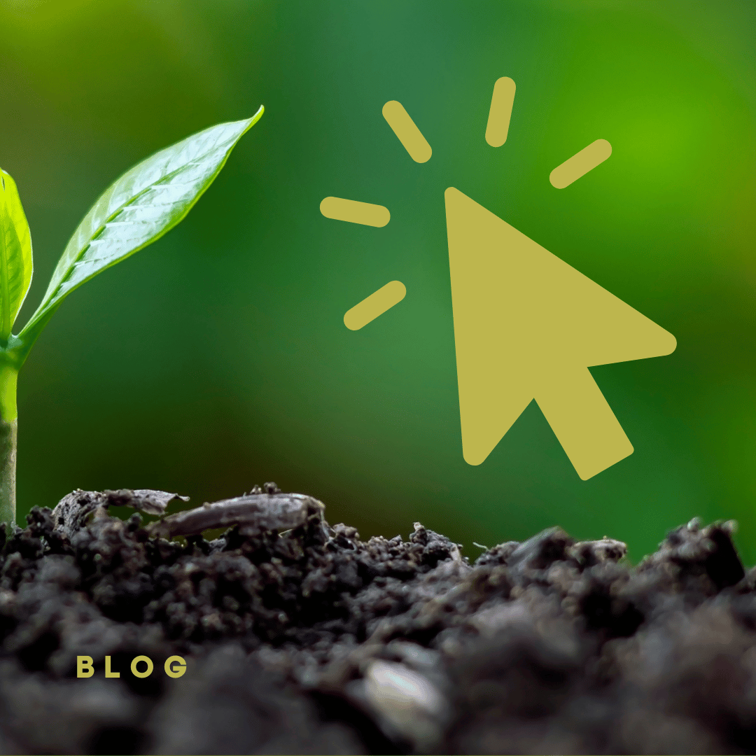 Pflänzchen neben Cursor-Symbol – digitales Zeichen für Wachstum und neue Impulse im kirchlichen Blog